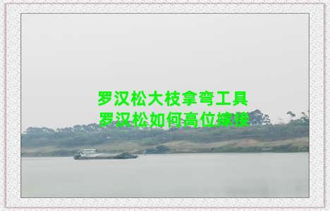 罗汉松大枝拿弯工具 罗汉松如何高位嫁接